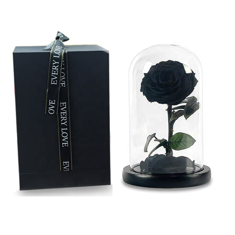 Preserved Rose In Glass Dome,black infinity rose,everlasting <a href=https://tsmpreservedflower.com/Preserved-Rose-Head.html target='_blank'>flowers</a> 2.png