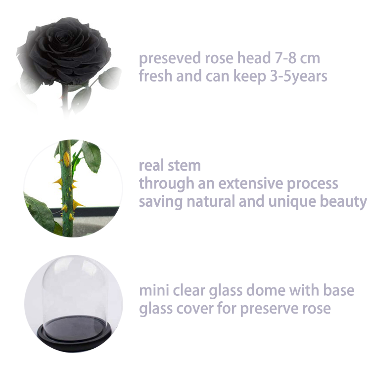details for black preseved flower in glass dome.png