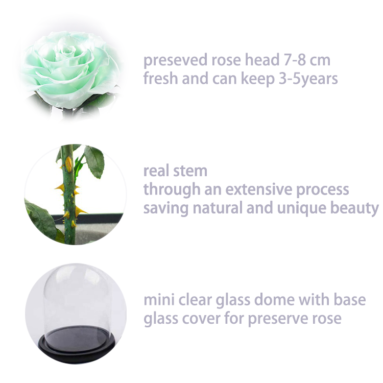 details for Mint Green preseved flower in glass dome.png