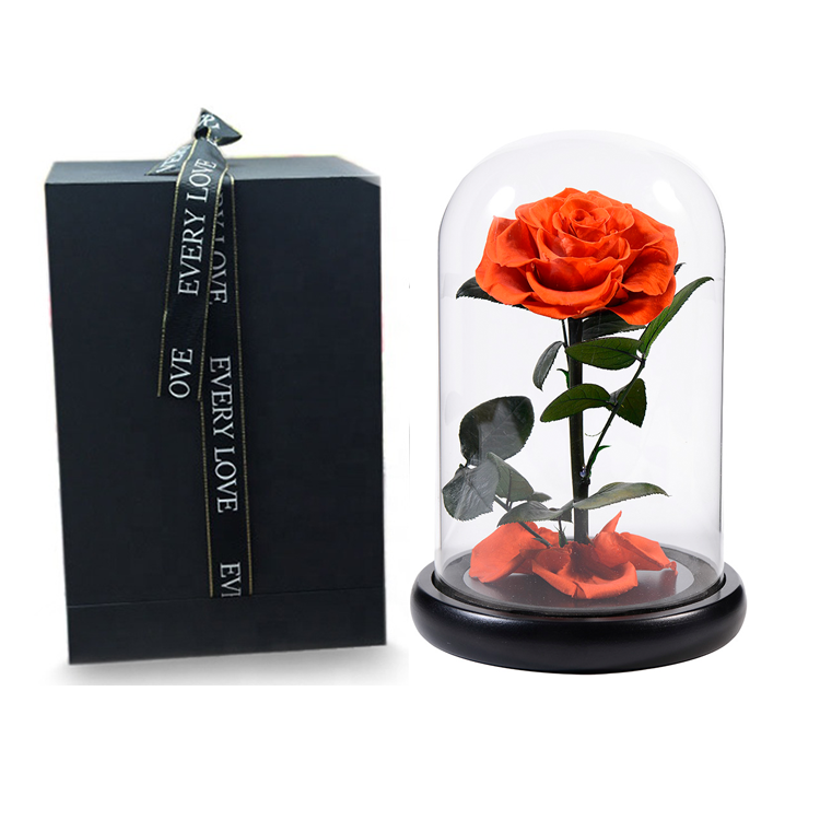 Preserved Rose In Glass Dome,Orange infinity rose,everlasting <a href=https://tsmpreservedflower.com/Preserved-Rose-Head.html target='_blank'>flowers</a>.png