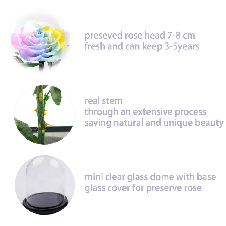 details for mixed color preseved flower in glass dome.png