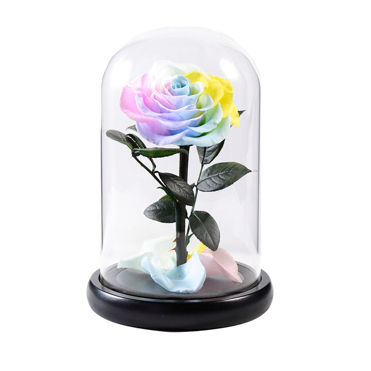 Preserved Rose In Glass Dome,Gradation infinity rose,everlasting <a href=https://tsmpreservedflower.com/Preserved-Rose-Head.html target='_blank'>flowers</a>.png