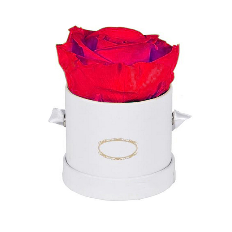 Eternal Flower in gift box, Red preserved <a href=https://tsmpreservedflower.com/Preserved-Rose-Head.html target='_blank'>roses</a> in gift box, Forever <a href=https://tsmpreservedflower.com/Preserved-Rose-Head.html target='_blank'>flowers</a> in gift box 1.png