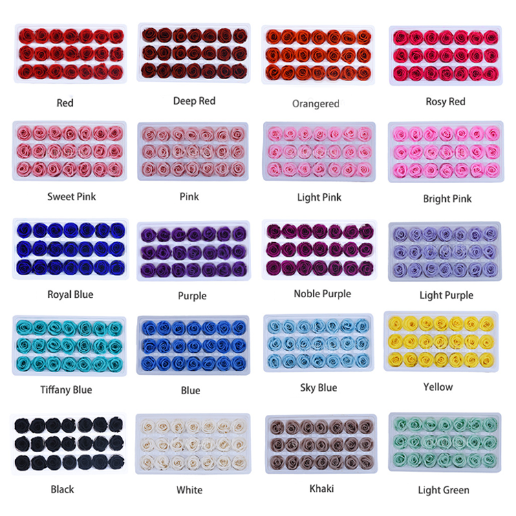 TSM preserved flower company-color chart 2.png