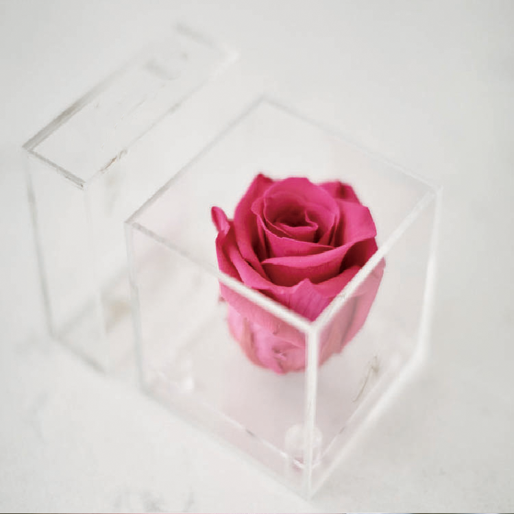 Flower Box Acrylic, Acrylic Boxes For <a href=https://tsmpreservedflower.com/Preserved-Rose-Head.html target='_blank'>flowers</a>, <a href=https://tsmpreservedflower.com/Preserved-Rose-Head.html target='_blank'>roses</a> in Acrylic Box 18.png