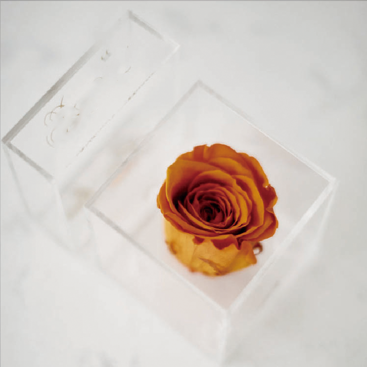 Flower Box Acrylic, Acrylic Boxes For <a href=https://tsmpreservedflower.com/Preserved-Rose-Head.html target='_blank'>flowers</a>, <a href=https://tsmpreservedflower.com/Preserved-Rose-Head.html target='_blank'>roses</a> in Acrylic Box 32.png