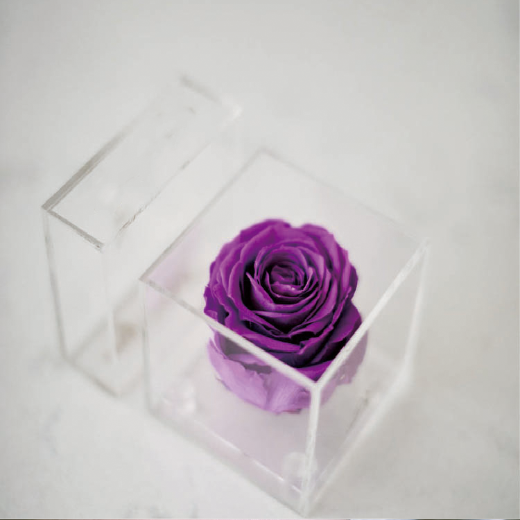 Flower Box Acrylic, Acrylic Boxes For <a href=https://tsmpreservedflower.com/Preserved-Rose-Head.html target='_blank'>flowers</a>, <a href=https://tsmpreservedflower.com/Preserved-Rose-Head.html target='_blank'>roses</a> in Acrylic Box 17.png