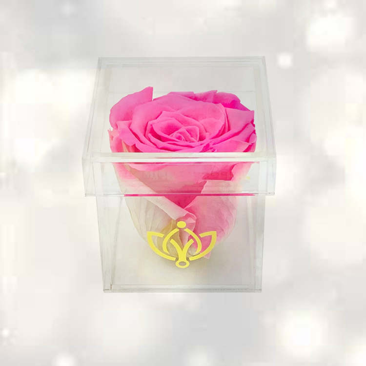 Flower Display Box,Acrylic Rose Box,Acrylic Flower Display Box 1.png