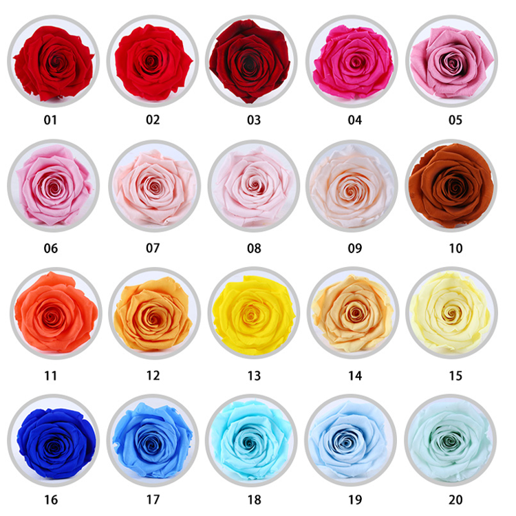 Rose Bear Flower,<a href=https://tsmpreservedflower.com/Preserved-Rose-Head.html target='_blank'>roses</a> In Dome Glass,Rose In Music Box 4.png