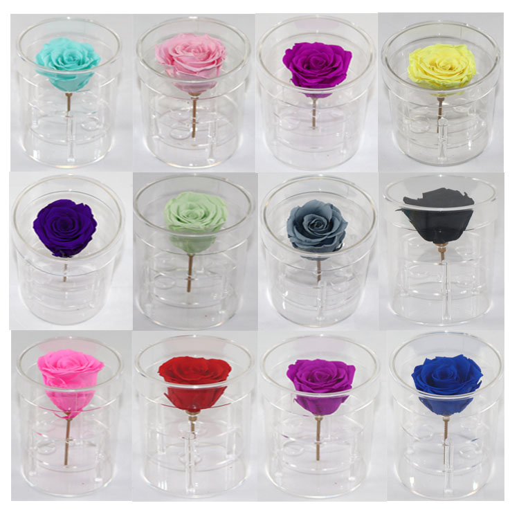 Rose Display Clear Box, Preserved <a href=https://tsmpreservedflower.com/Preserved-Rose-Head.html target='_blank'>roses</a> In Arcylic Box, Round Acrylic Box 13.jpg