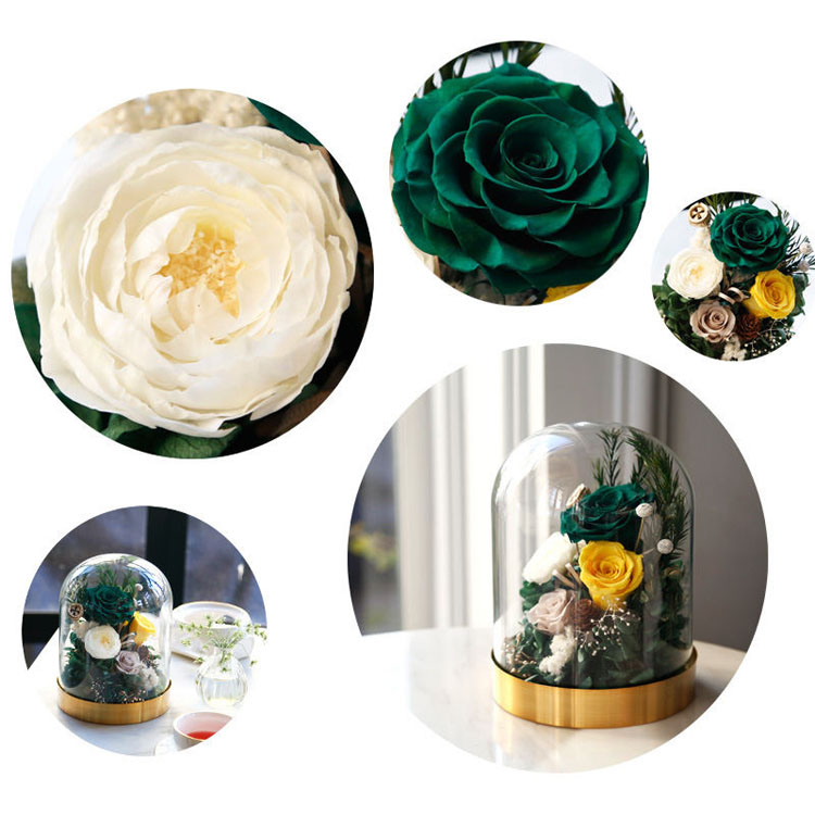 Immortal Rose, Preserved Flower, Glass Dome Beast Rose 10.jpg