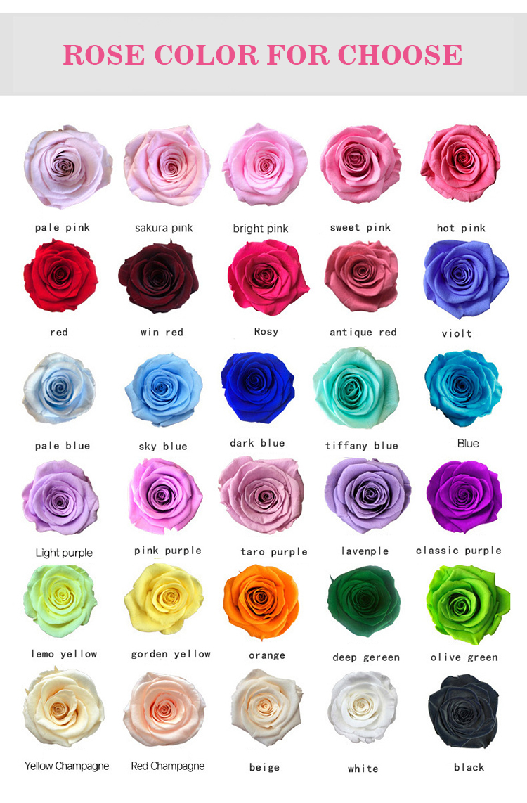 colors of preserved flower buds.jpg