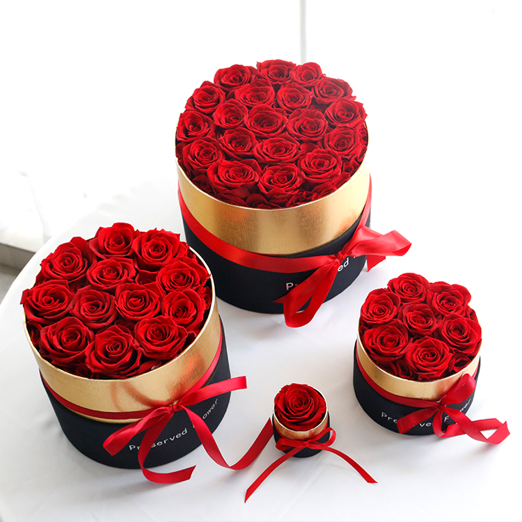 Preserved Real <a href=https://tsmpreservedflower.com/Preserved-Rose-Head.html target='_blank'>roses</a>, Rose Stabilize, Christmas Gift 4.png
