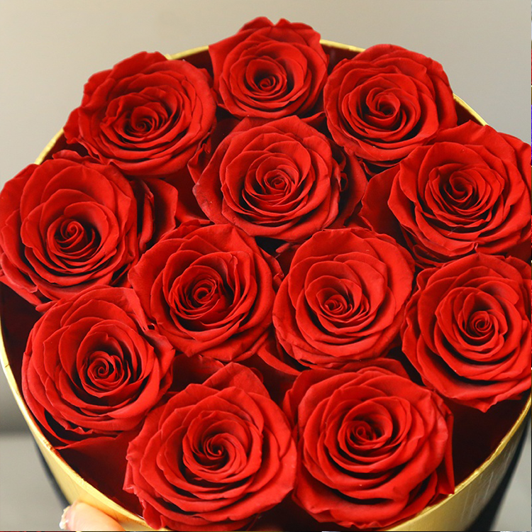 Preserved Real <a href=https://tsmpreservedflower.com/Preserved-Rose-Head.html target='_blank'>roses</a>, Rose Stabilize, Christmas Gift 9.png