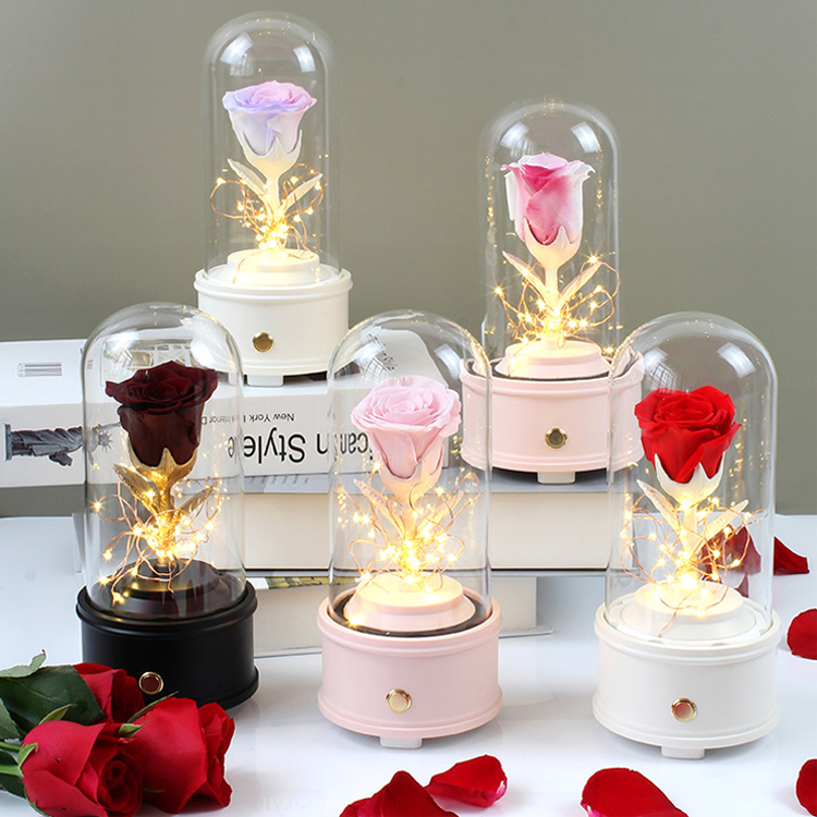 Preserved Flower,Preserved Rose In Glass Dome,Music Box Flower 1.png